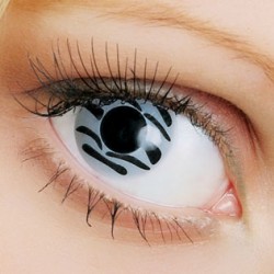 Fusion Crazy Zebra (Зебра)