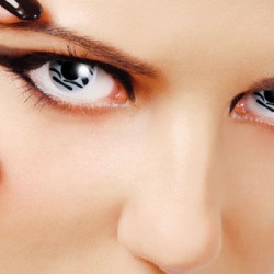 Fusion Crazy Zebra (Зебра)